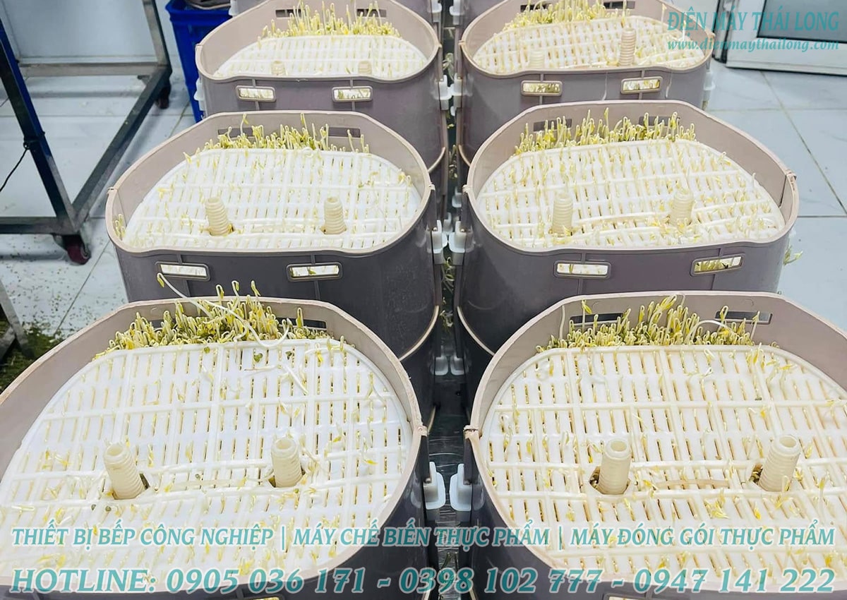 Máy làm giá đỗ tự động