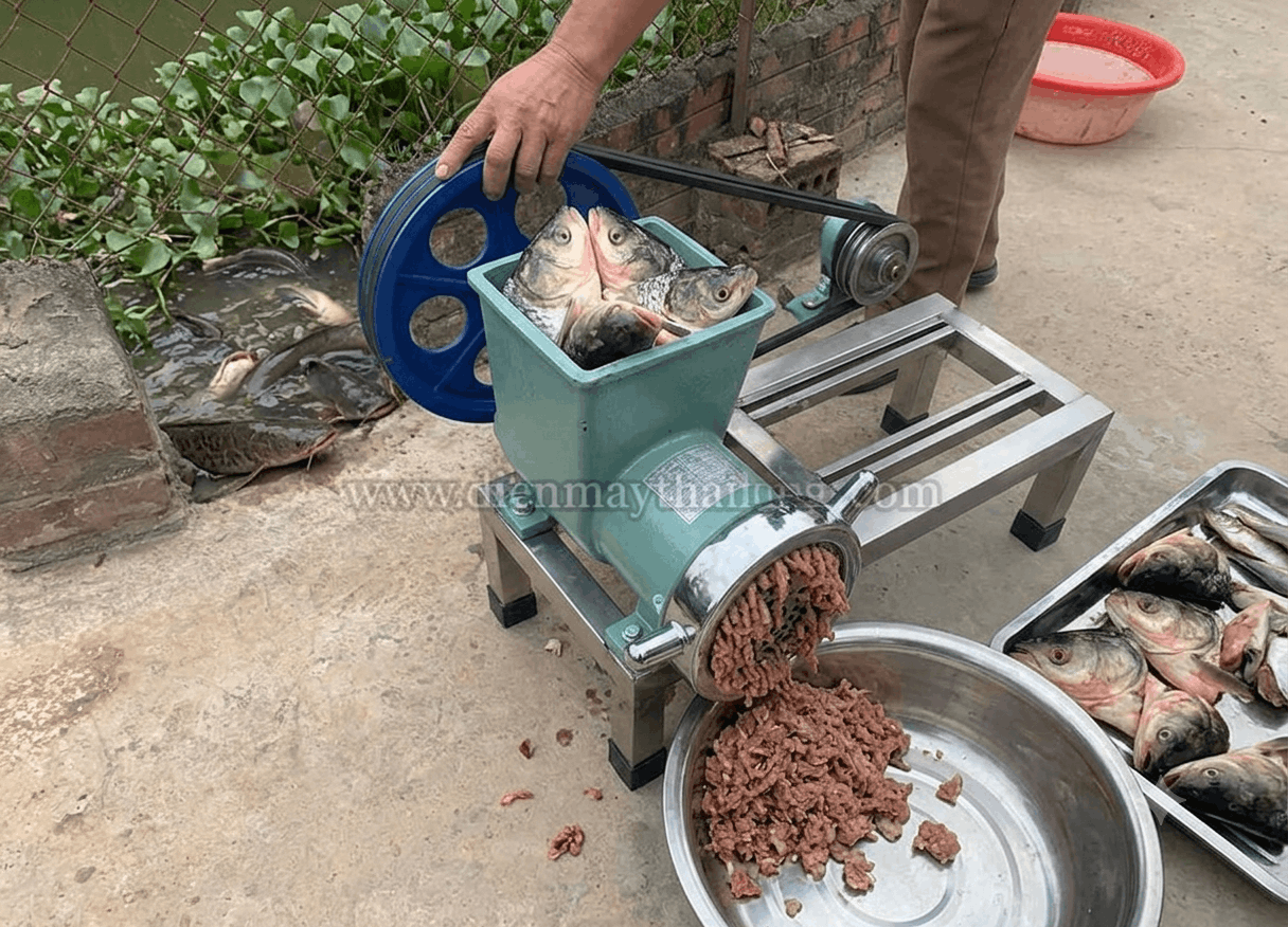 Máy xay thức ăn cho cá