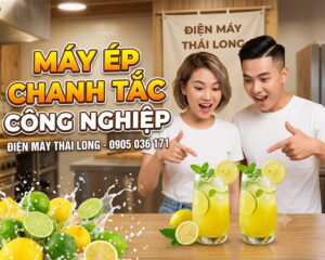 Nơi bán máy ép chanh tắc tự động